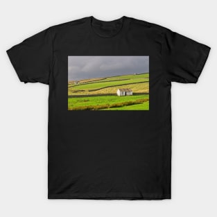 Teesdale Landscape T-Shirt